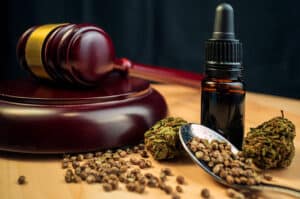 Cannabis buds and seeds pictured with a gavel and a bottle of CBD oil